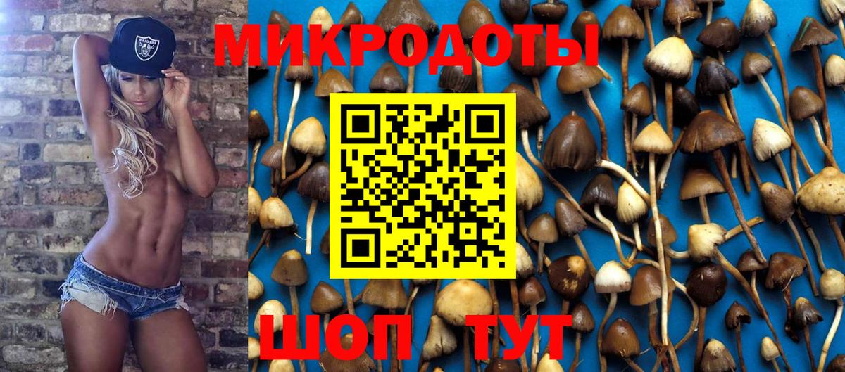 Галлюциногенные грибы мухоморы  Галлюциногенные грибы ЛСД  Красногорск  Вход с VPN 